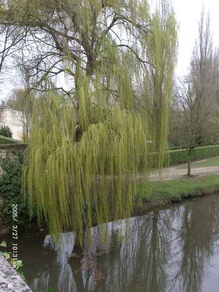 2005 03 27 1031 la fleche 063 