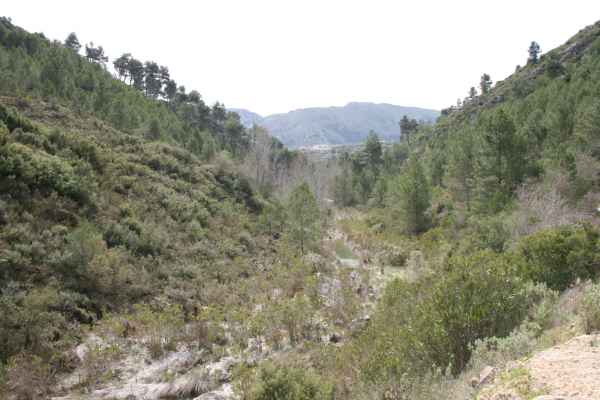 2008 03 11 benidorm benidorm 2008 walking 031 jpg