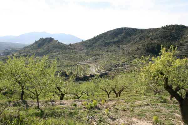 2008 03 11 benidorm benidorm 2008 walking 041 jpg