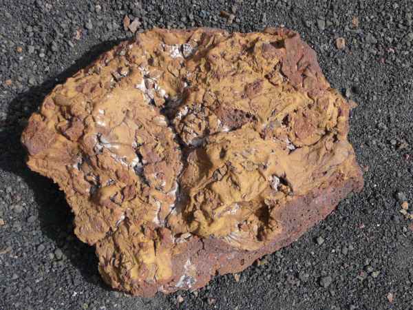 2009 03 17 holidays lanzarote lanzarote 2009 077 jpg