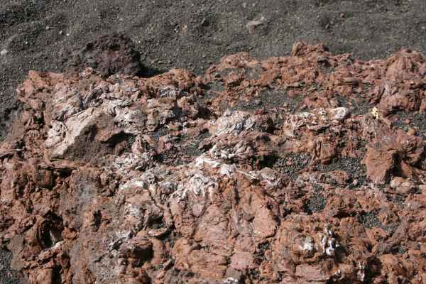 2009 03 17 holidays lanzarote lanzarote 2009 walking 081 jpg