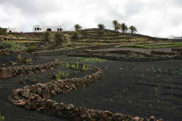 2009 03 18 holidays lanzarote lanzarote 2009 093 jpg