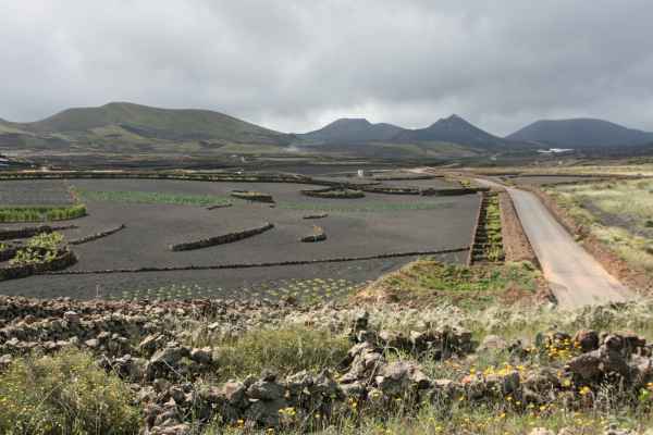 2009 03 18 holidays lanzarote lanzarote 2009 094 jpg