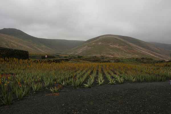 2009 03 21 holidays lanzarote lanzarote 2009 108 jpg