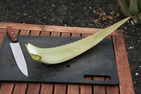 2009 03 21 holidays lanzarote lanzarote 2009 109 jpg