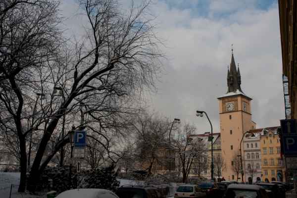 2011 01 24 denise60 prague prague 2011 033 jpg