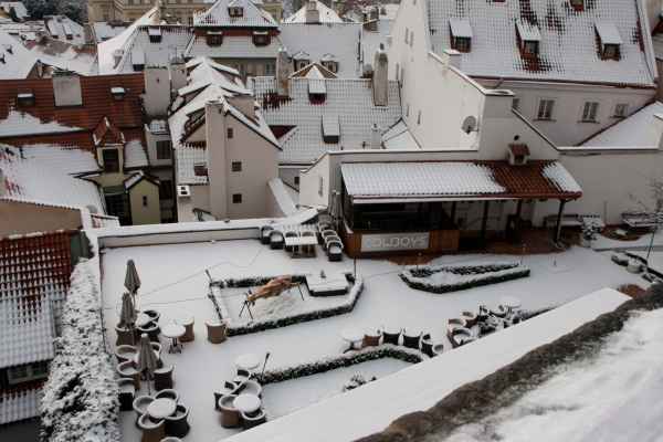 2011 01 24 denise60 prague prague 2011 047 jpg