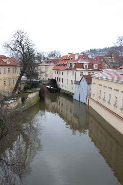 2011 01 26 denise60 prague prague 2011 095 jpg