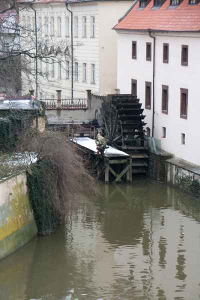 2011 01 26 denise60 prague prague 2011 096 jpg