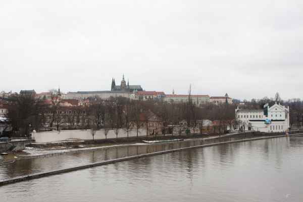 2011 01 26 denise60 prague prague 2011 113 jpg