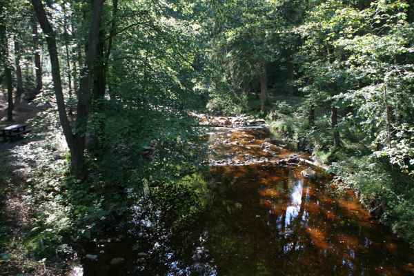 2011 09 03 rhine in flames trip cycling eupen motorhome 021 jpg