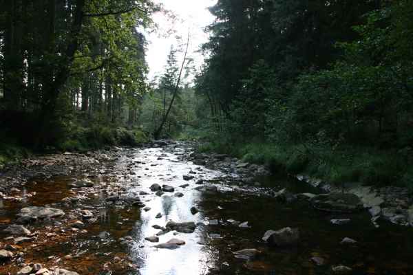 2011 09 03 rhine in flames trip cycling eupen motorhome 022 jpg