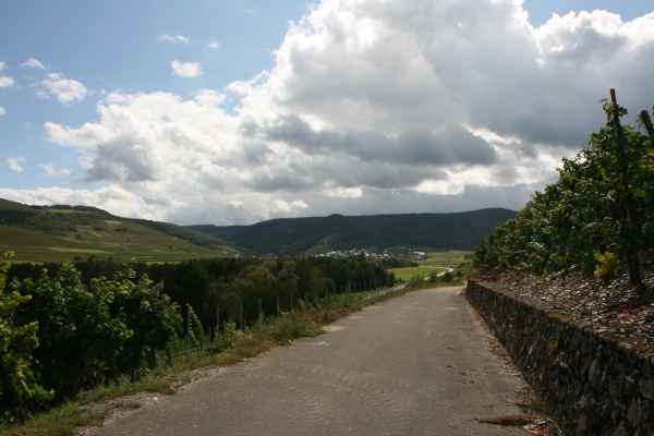 2011 09 05 rhine in flames trip cycling lieser mosel motorhome mulheim mosel 045 jpg
