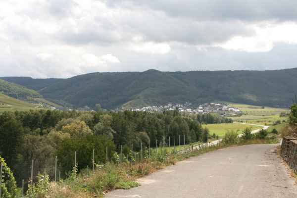 2011 09 05 rhine in flames trip cycling motorhome mulheim mosel 046 jpg