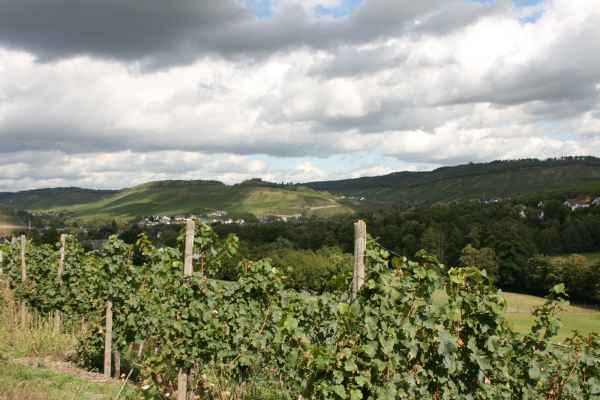 2011 09 05 rhine in flames trip cycling motorhome mulheim mosel 049 jpg