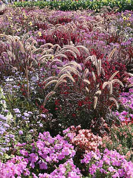 2011 09 16 rhine in flames trip a events a places activity type flowershow germany holidays koblenz motorhome shipleyexhibition 038 jpg