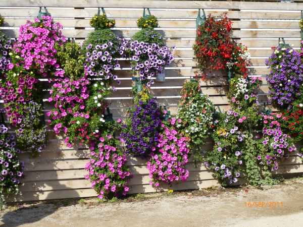 2011 09 16 rhine in flames trip flowershow koblenz motorhome 024 jpg