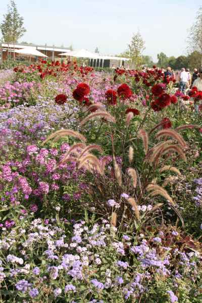 2011 09 16 rhine in flames trip flowershow koblenz motorhome 025 jpg