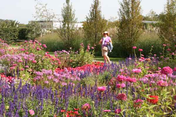 2011 09 16 rhine in flames trip flowershow koblenz motorhome 026 jpg