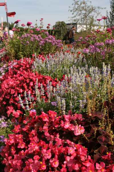 2011 09 16 rhine in flames trip flowershow koblenz motorhome 028 jpg