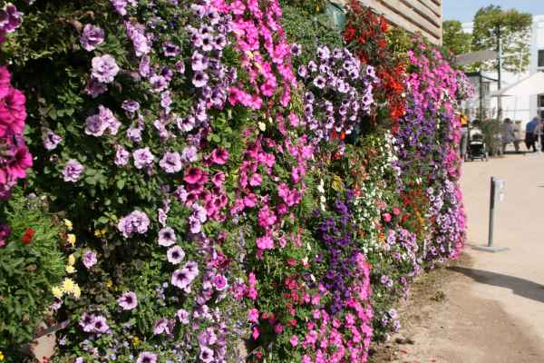 2011 09 16 rhine in flames trip flowershow koblenz motorhome 029 jpg