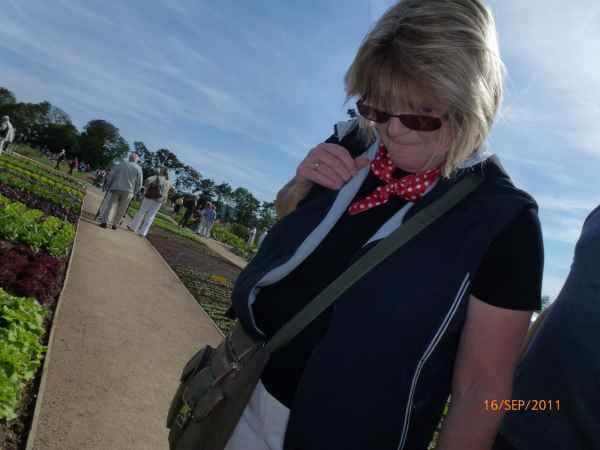 2011 09 16 rhine in flames trip flowershow koblenz motorhome 032 jpg