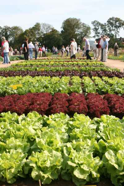 2011 09 16 rhine in flames trip flowershow koblenz motorhome 036 jpg