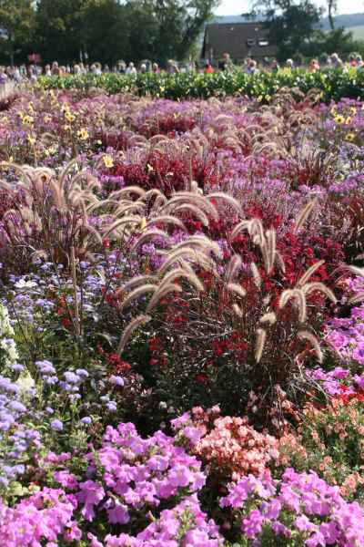 2011 09 16 rhine in flames trip flowershow koblenz motorhome 039 jpg