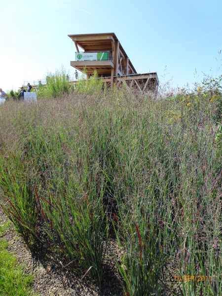 2011 09 16 rhine in flames trip flowershow koblenz motorhome 049 jpg