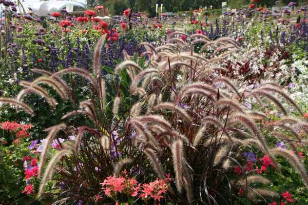 2011 09 16 rhine in flames trip flowershow koblenz motorhome 095 jpg