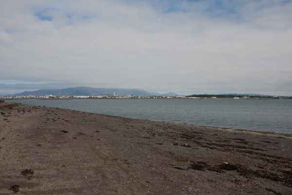 2012 08 04 iceland 2012 alftanes iceland reykjavik 077 jpg 2