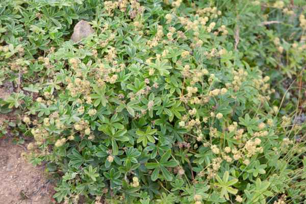 2012 08 06 iceland 2012 iceland krysuvik  sulphur pools 116 jpg 2