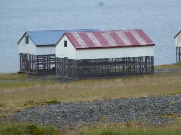 2012 08 08 iceland 2012 iceland thingeyri 147 jpg