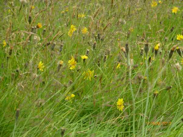 2012 08 12 iceland 2012 iceland skogafoss 201 jpg