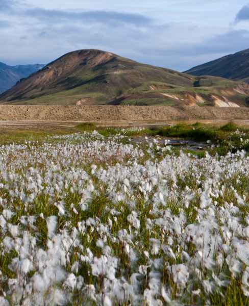 2012 08 17 iceland 2012 iceland landmannalaugar 259 jpg