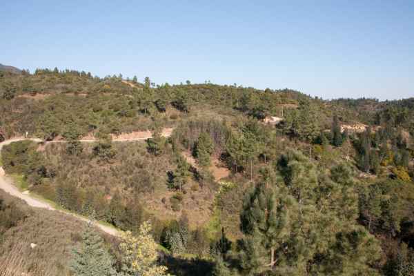 2012 02 09 portugal 2012 monchique walking 064 jpg