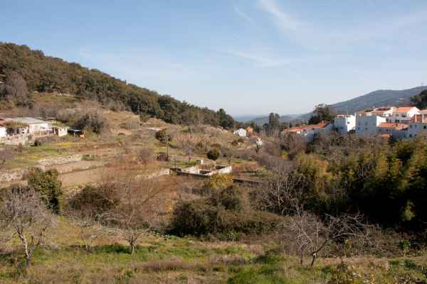 2012 02 11 portugal 2012 monchique walking 071 jpg