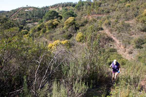 2012 02 15 portugal 2012 denise sykes monchique walking 090 jpg