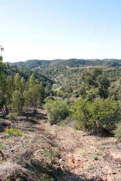 2012 02 15 portugal 2012 monchique walking 093 jpg