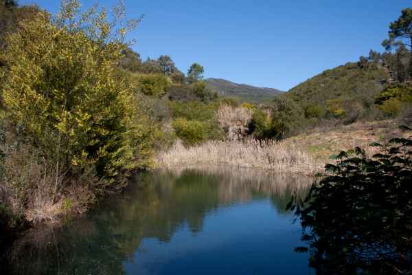 2012 02 15 portugal 2012 monchique walking 094 jpg