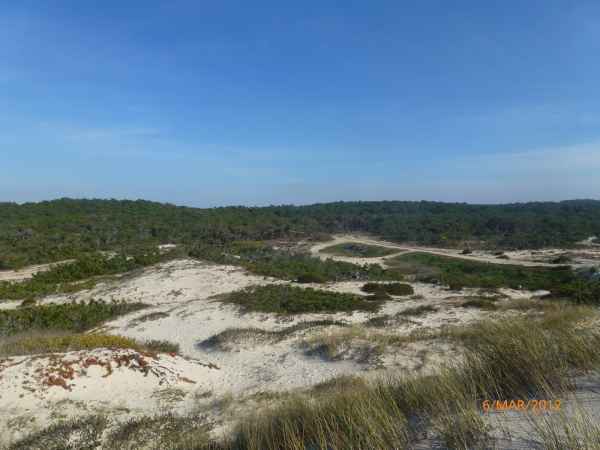 2012 03 07 portugal 2012 cova 239 jpg