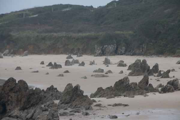 2012 03 15 portugal 2012 llanes 279 jpg