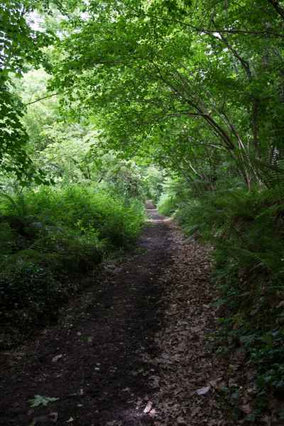 2013 06 14 france2013 lapalus plouha 074 jpg