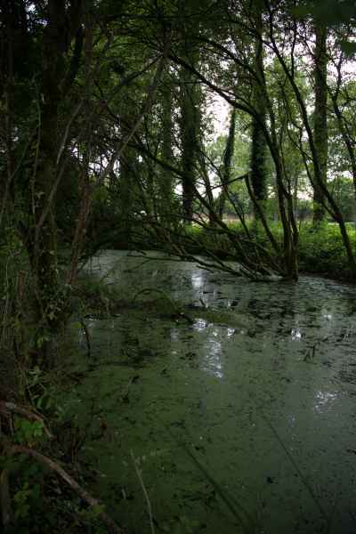 2013 06 19 france2013 glomel 091 jpg