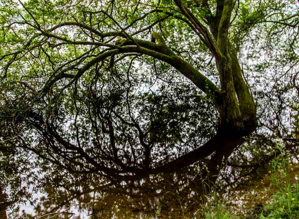 2013 06 19 france2013 glomel 092 jpg