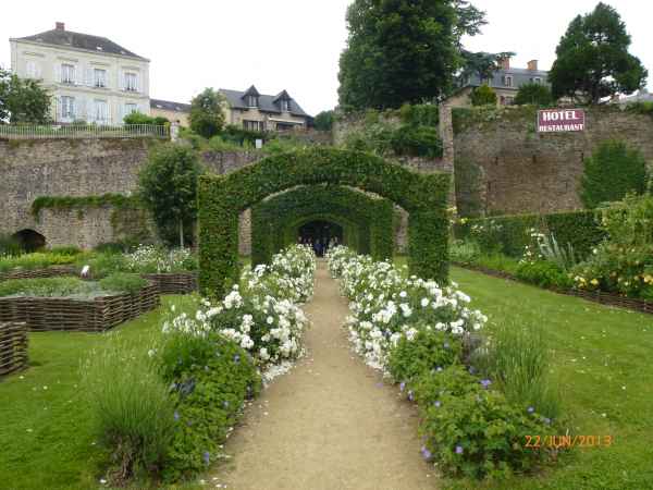 2013 06 22 chateau gontier flowers france2013 plants 116 jpg