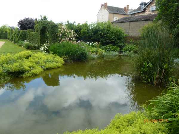 2013 06 22 chateau gontier flowers france2013 plants 118 jpg