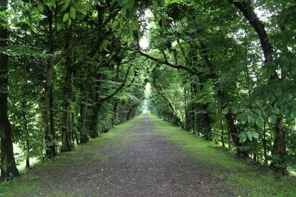 2013 06 29 eijsden france2013 170 jpg