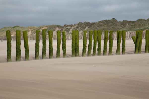 2013 07 04 coquelles france2013 201 jpg