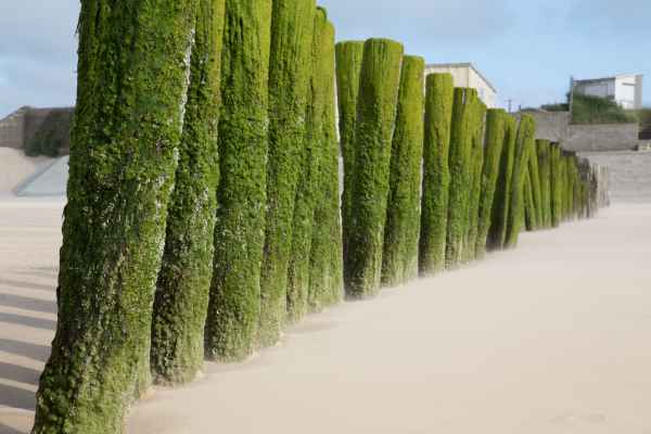 2013 07 04 coquelles france2013 202 jpg